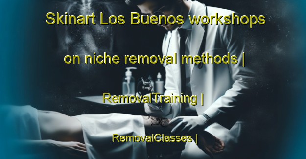 Skinart Los Buenos workshops on niche removal methods | RemovalTraining | RemovalClasses | SkinartTraining-Spain